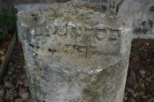 DSC02010